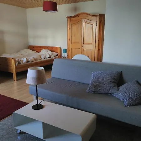 Dein Studio Im Chalet Primeli *