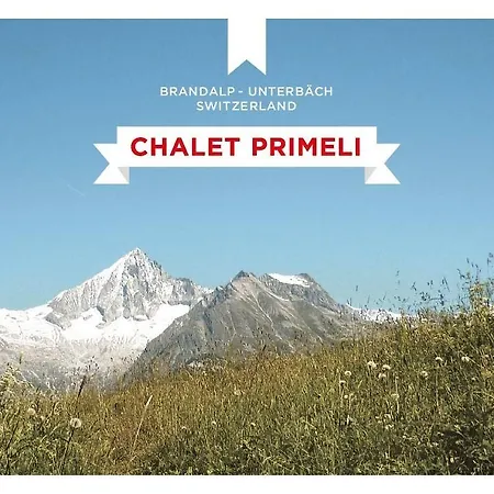 Dein Studio Im Chalet Primeli Unterbach (Valais)